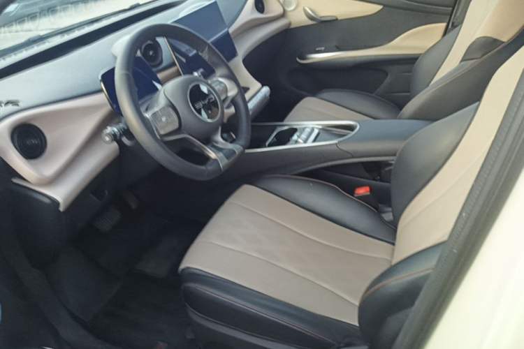 Used BYD Dolphin 2023 420 km Fashion Edition Left Front Seat