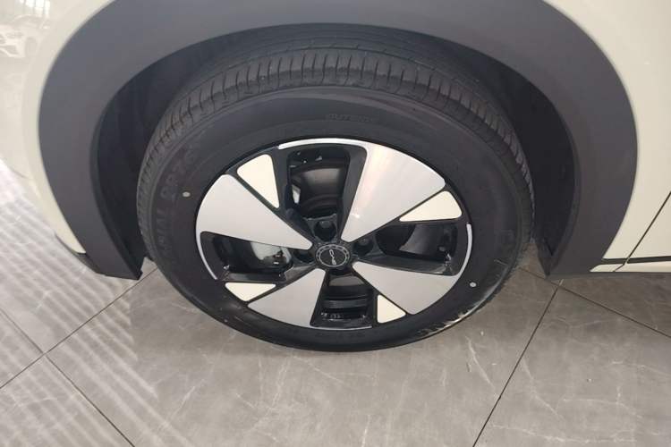 Used BYD Dolphin 2023 420 km Free Version Left Front Wheel Hub