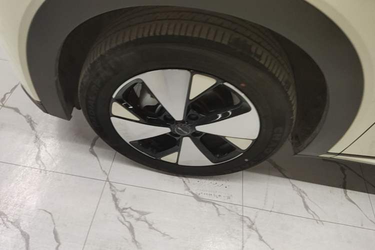 Used BYD Dolphin 2023 420 km Free Version Left Front Wheel Hub