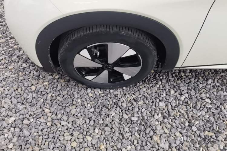 Used BYD Dolphin 2023 420 km Free Version Left Front Wheel Hub