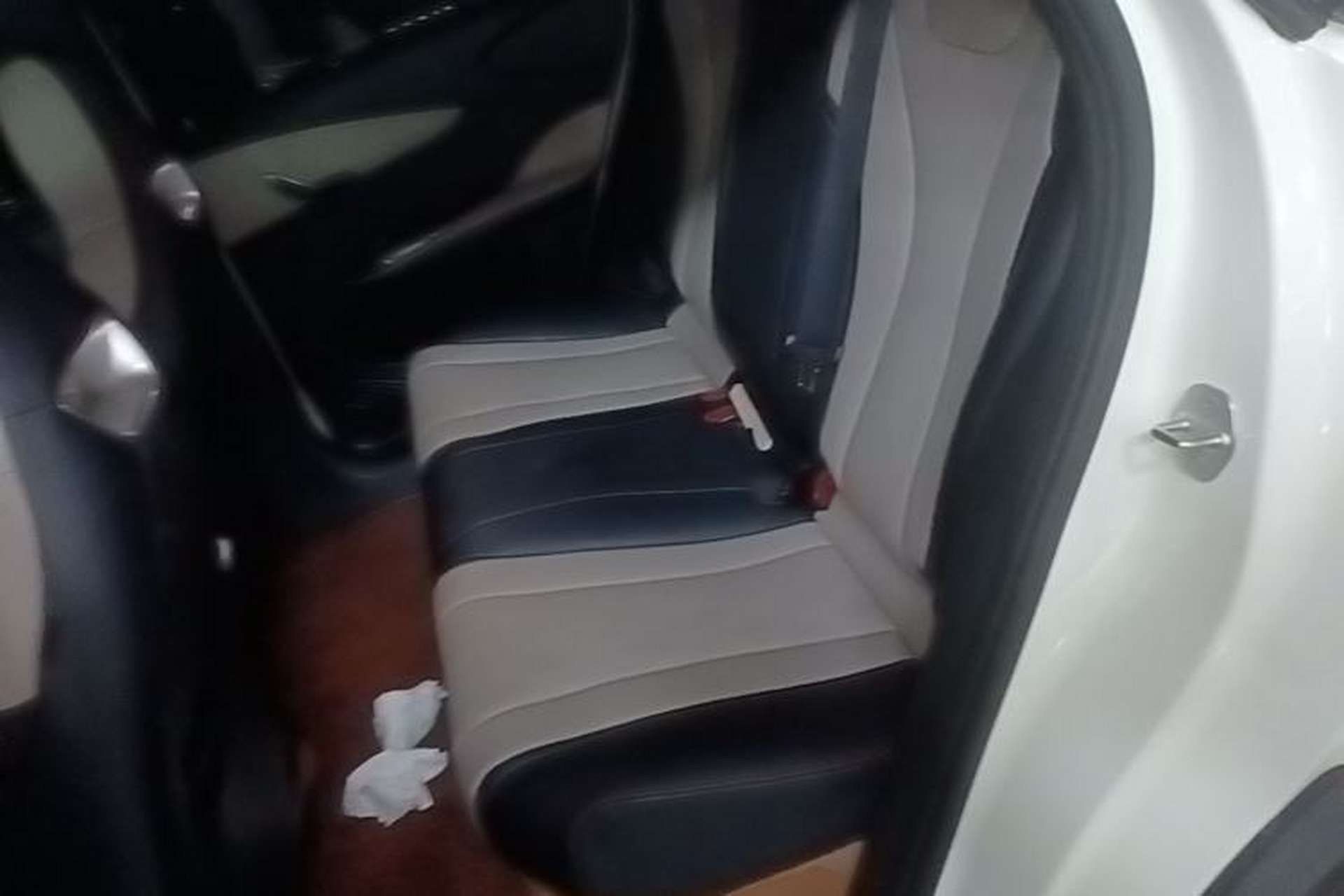 Used BYD Dolphin 2023 420 km Fashion Edition Left Rear Seat