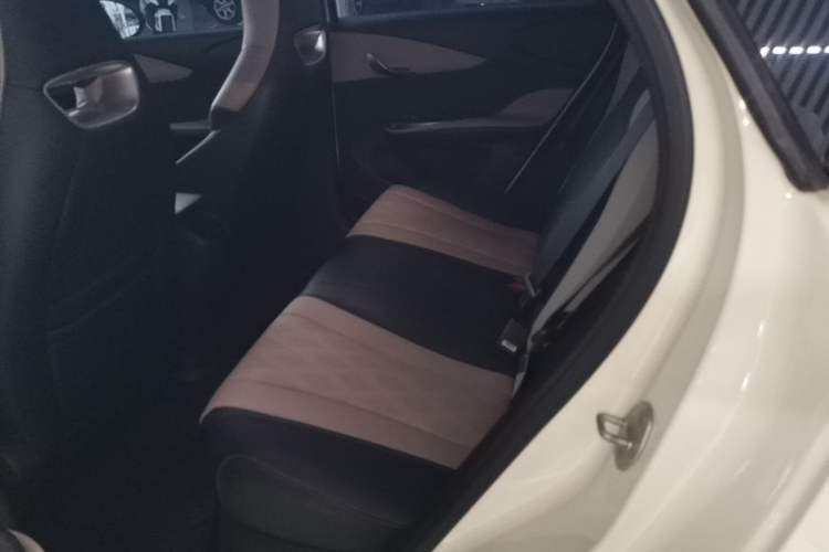 Used BYD Dolphin 2023 420 km Free Version Left Rear Seat