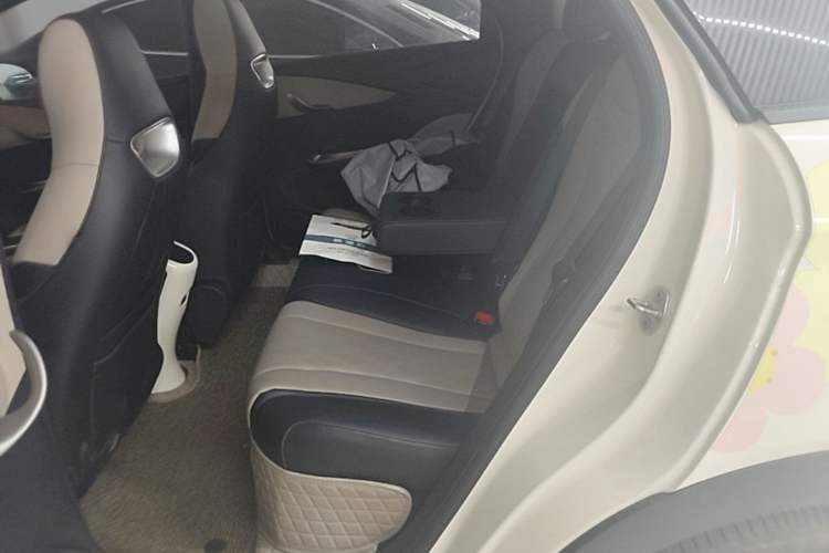 Used BYD Dolphin 2023 420 km Fashion Edition Left Rear Seat