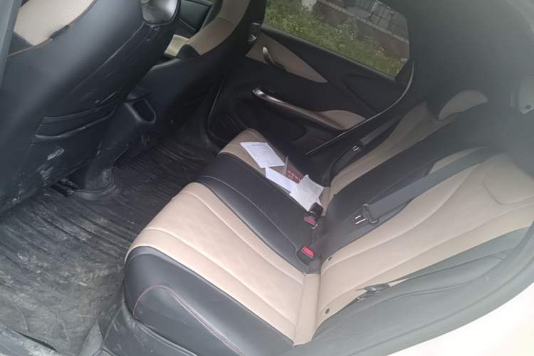 Used BYD Dolphin 2023 420 km Free Version Left Rear Seat