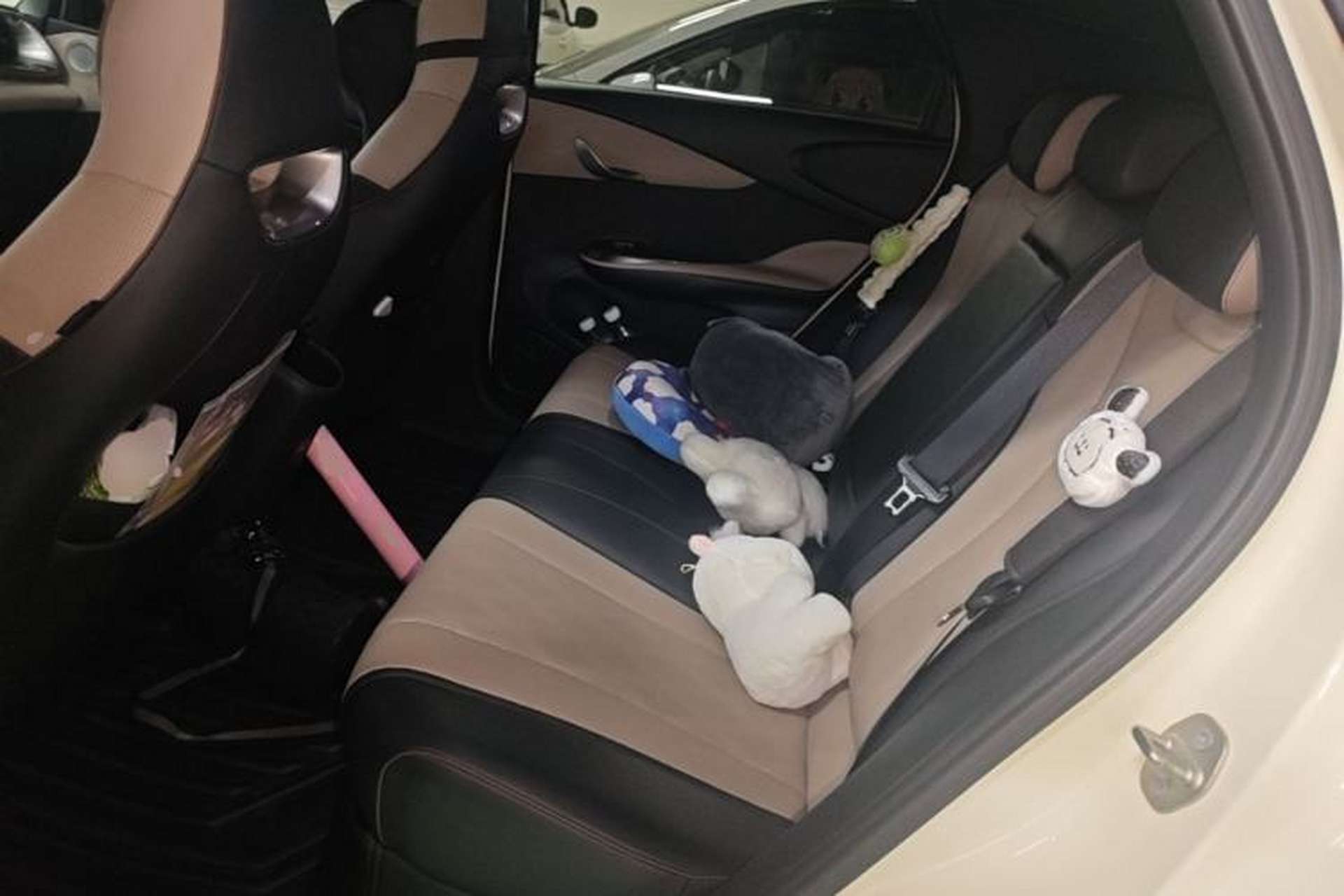 Used BYD Dolphin 2023 420 km Fashion Edition Left Rear Seat