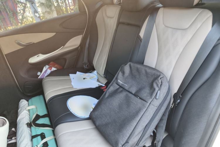 Used BYD Dolphin 2023 420 km Fashion Edition Left Rear Seat