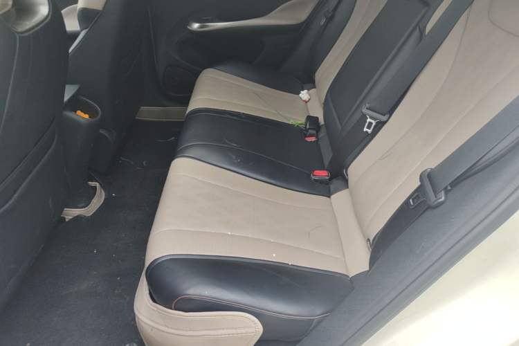 Used BYD Dolphin 2023 420 km Fashion Edition Left Rear Seat