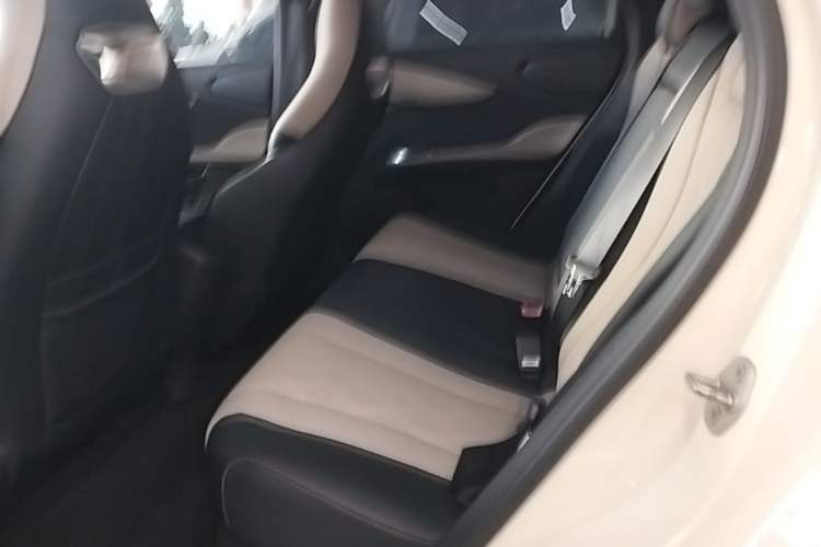 Used BYD Dolphin 2023 420 km Free Version Left Rear Seat