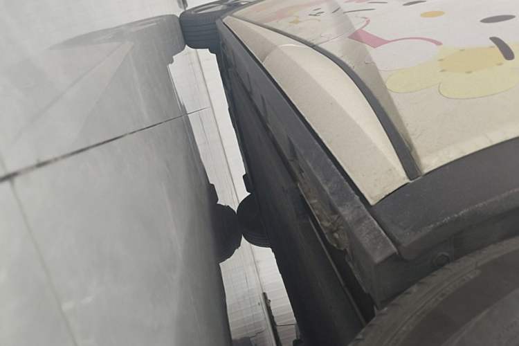 Used BYD Dolphin 2023 420 km Fashion Edition Left Side Sill