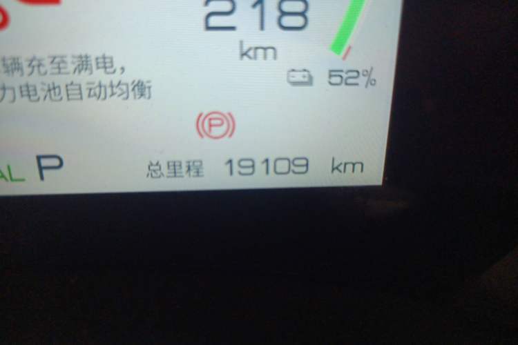 Used BYD Dolphin 2023 420 km Free Version Odometer Close Up