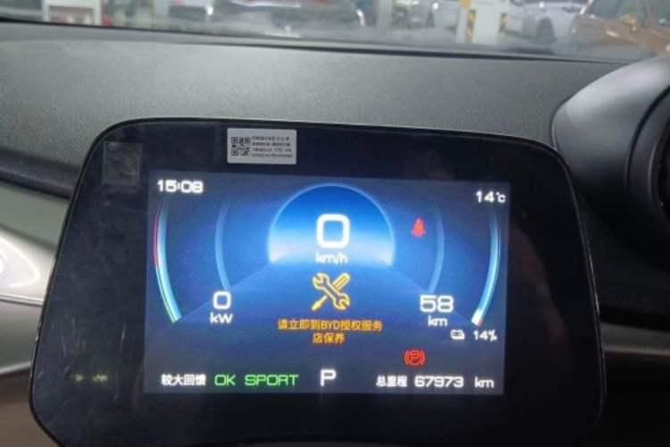Used BYD Dolphin 2023 420 km Free Version Odometer Close Up