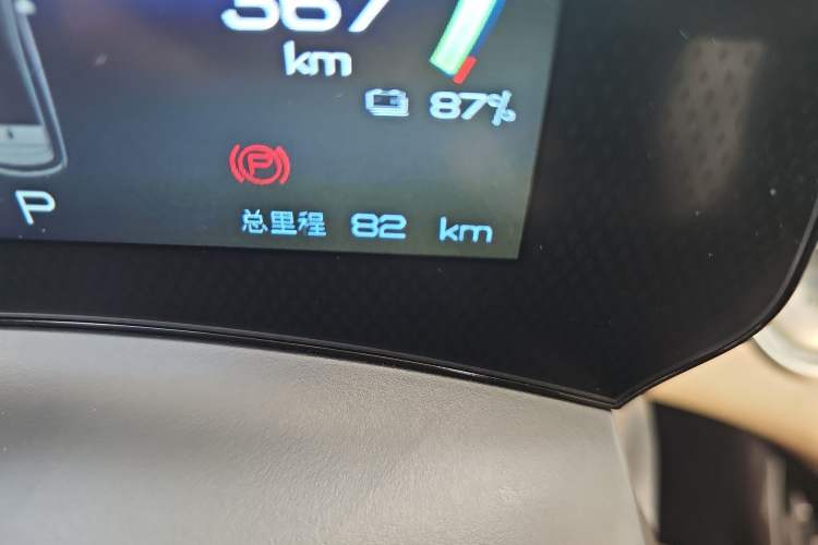 Used BYD Dolphin 2023 420 km Free Version Odometer Close Up