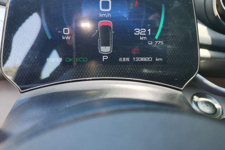 Used BYD Dolphin 2023 420 km Free Version Odometer Close Up