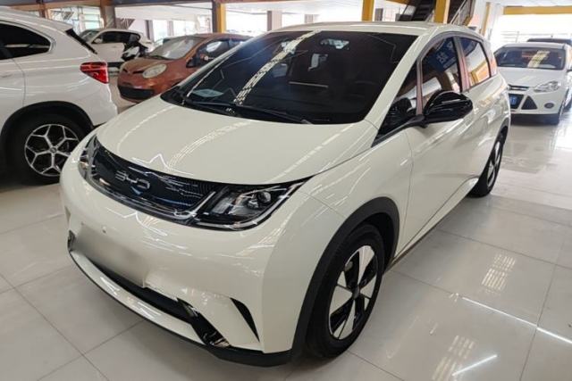 Used BYD Dolphin 2023 420 km Free Version
