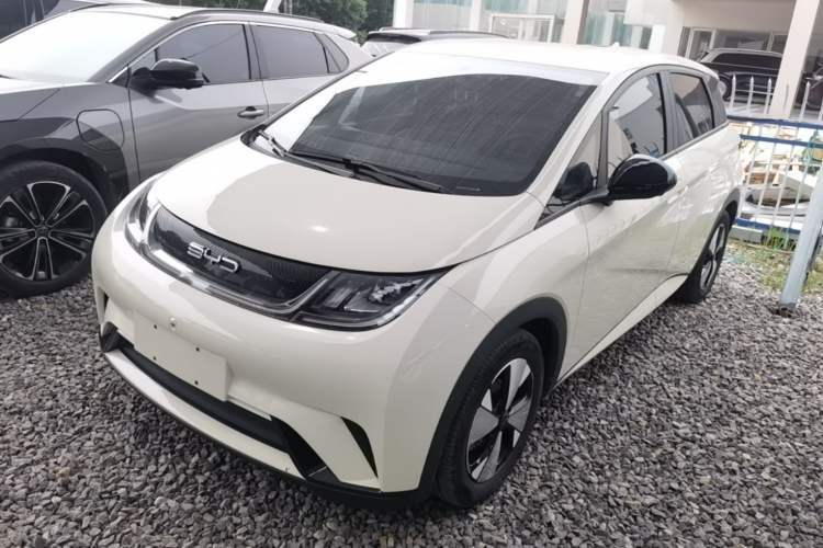 Used BYD Dolphin 2023 420 km Free Version Guazi used car, China used car export, Used car for sale, Used cars, Cheapest cars for sale