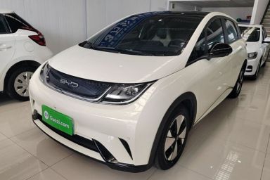 Used BYD Dolphin 2023 420 km Fashion Edition