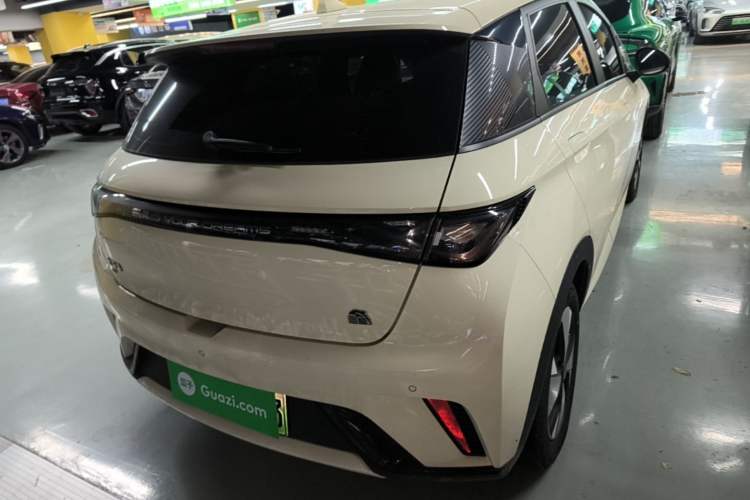Used BYD Dolphin 2023 420 km Free Version Rear