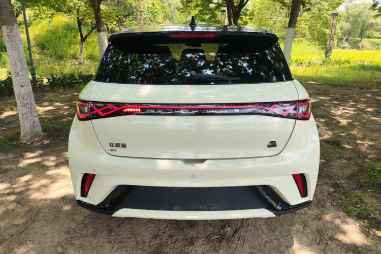 Used BYD Dolphin 2023 420 km Fashion Edition Rear