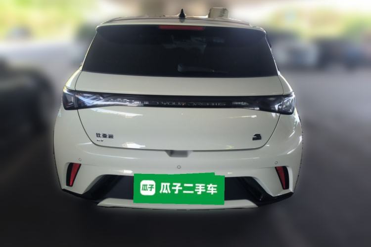 Used BYD Dolphin 2023 420 km Free Version Rear
