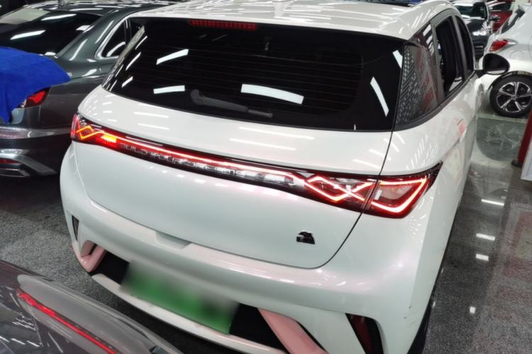 Used BYD Dolphin 2023 420 km Fashion Edition Rear