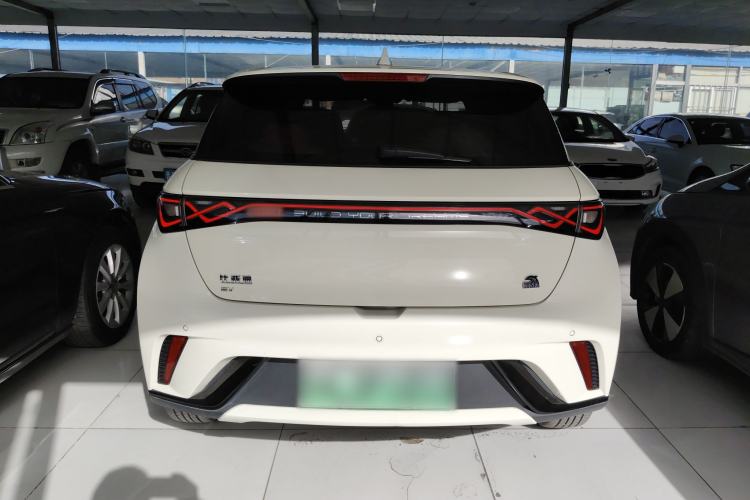 Used BYD Dolphin 2023 420 km Fashion Edition Rear