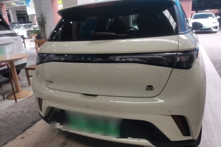 Used BYD Dolphin 2023 420 km Free Version Rear
