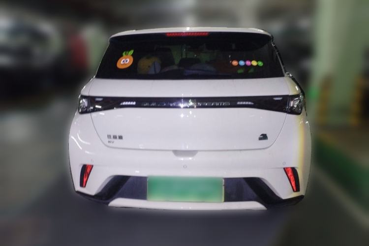 Used BYD Dolphin 2023 420 km Fashion Edition Rear