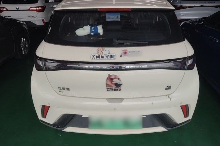 Used BYD Dolphin 2023 420 km Fashion Edition Rear
