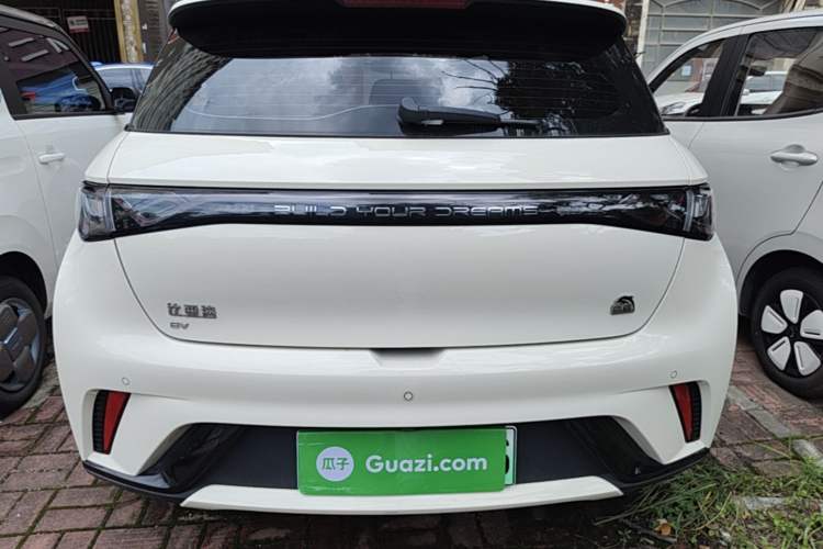 Used BYD Dolphin 2023 420 km Fashion Edition Rear