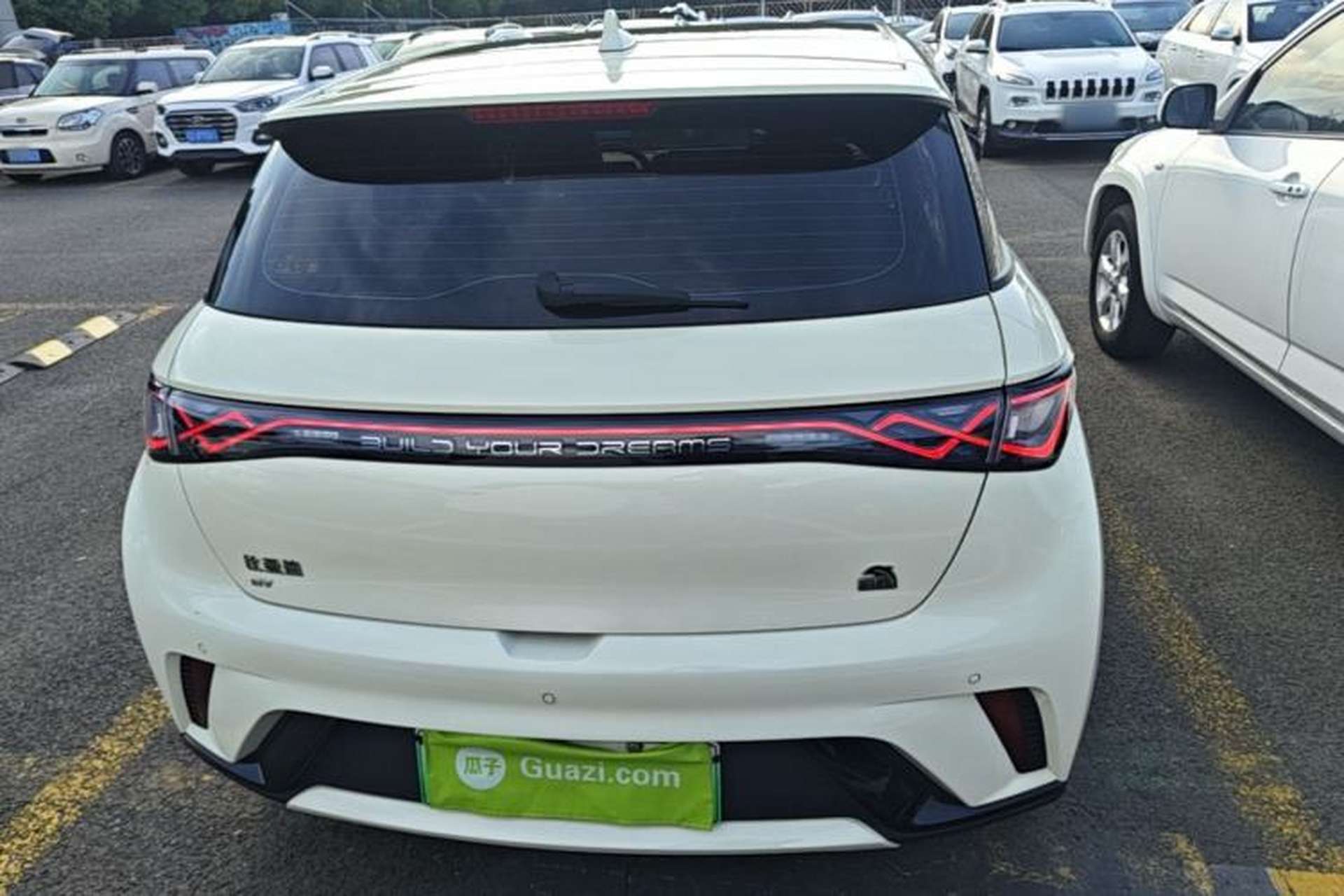 Used BYD Dolphin 2023 420 km Fashion Edition Rear