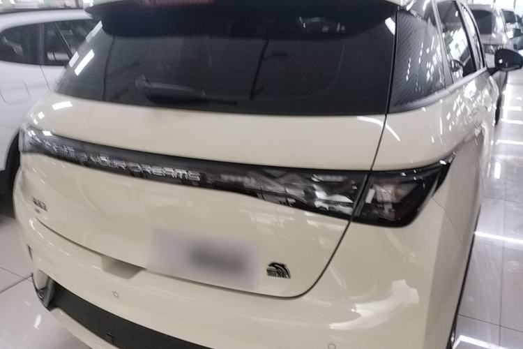 Used BYD Dolphin 2023 420 km Fashion Edition Rear