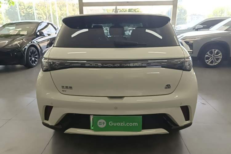 Used BYD Dolphin 2023 420 km Fashion Edition Rear