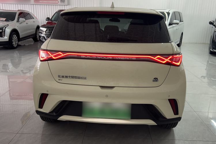 Used BYD Dolphin 2023 420 km Fashion Edition Rear
