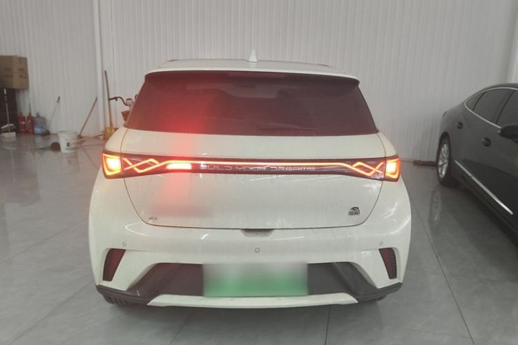 Used BYD Dolphin 2023 420 km Fashion Edition Rear
