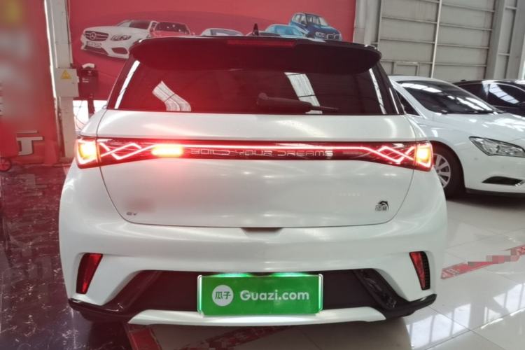 Used BYD Dolphin 2023 420 km Free Version Rear