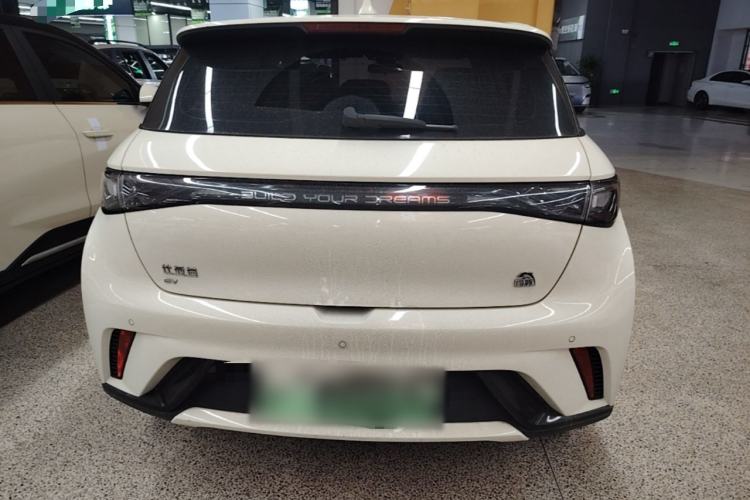 Used BYD Dolphin 2023 420 km Fashion Edition Rear