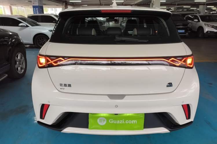 Used BYD Dolphin 2023 420 km Fashion Edition Rear