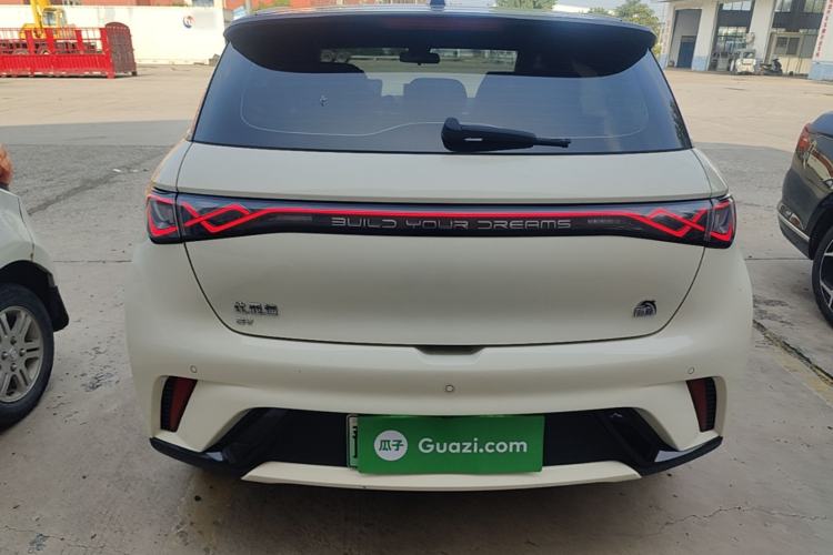 Used BYD Dolphin 2023 420 km Fashion Edition Rear