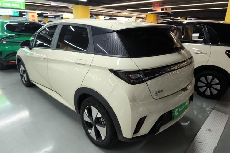 Used BYD Dolphin 2023 420 km Free Version Rear Left 45 Deg