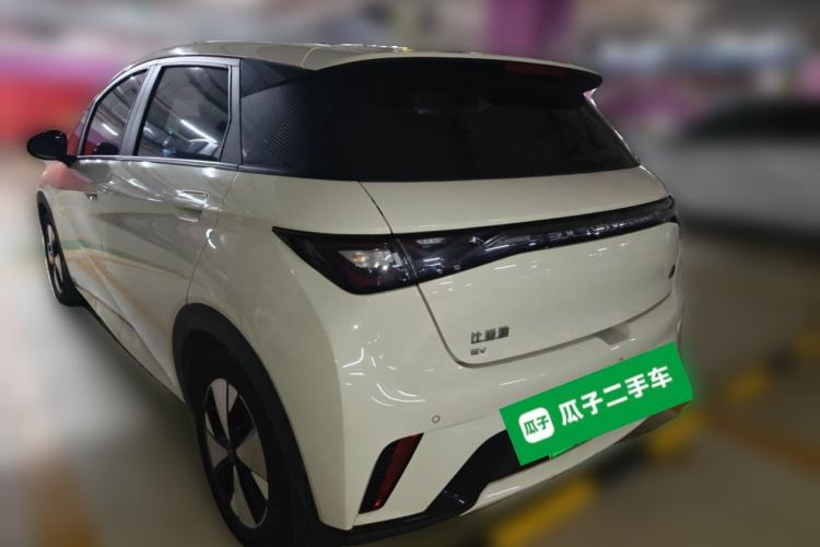 Used BYD Dolphin 2023 420 km Fashion Edition Rear Left 45 Deg