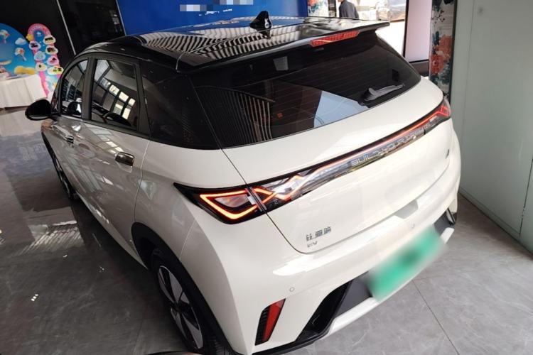 Used BYD Dolphin 2023 420 km Free Version Rear Left 45 Deg