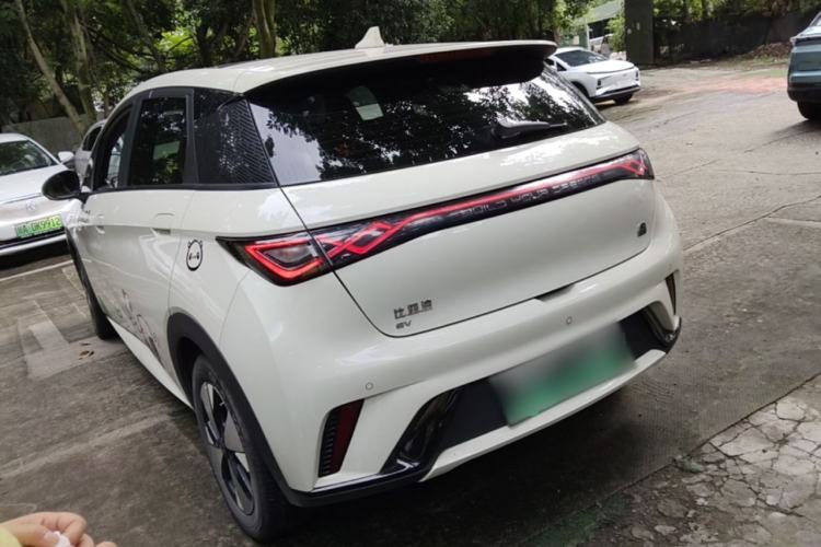 Used BYD Dolphin 2023 420 km Fashion Edition Rear Left 45 Deg