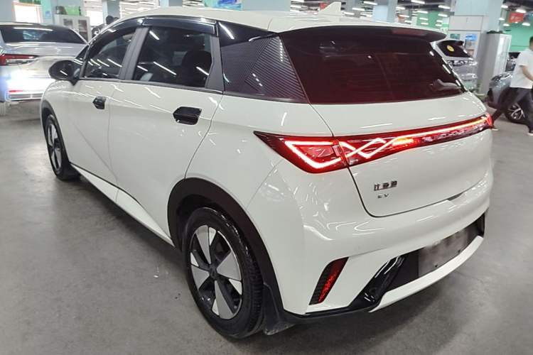 Used BYD Dolphin 2023 420 km Fashion Edition Rear Left 45 Deg