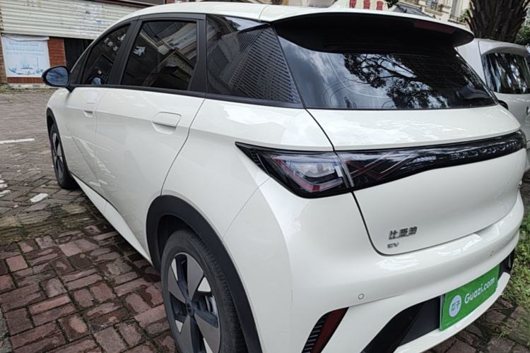 Used BYD Dolphin 2023 420 km Fashion Edition Rear Left 45 Deg