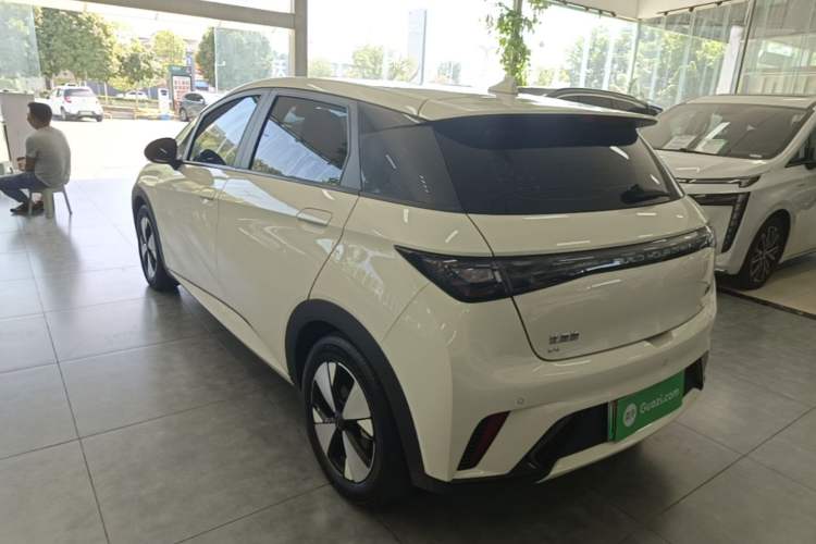 Used BYD Dolphin 2023 420 km Fashion Edition Rear Left 45 Deg
