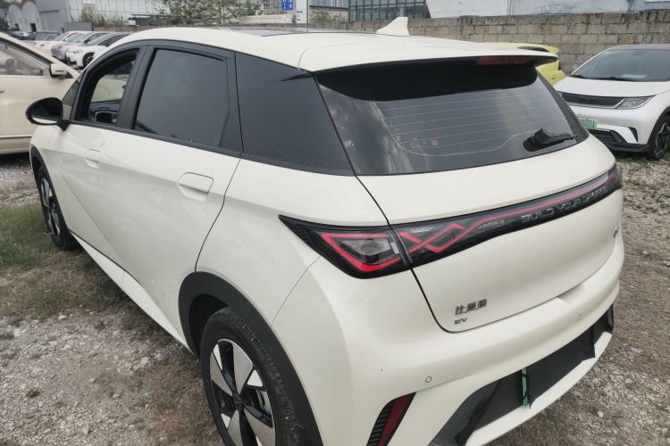Used BYD Dolphin 2023 420 km Fashion Edition Rear Left 45 Deg
