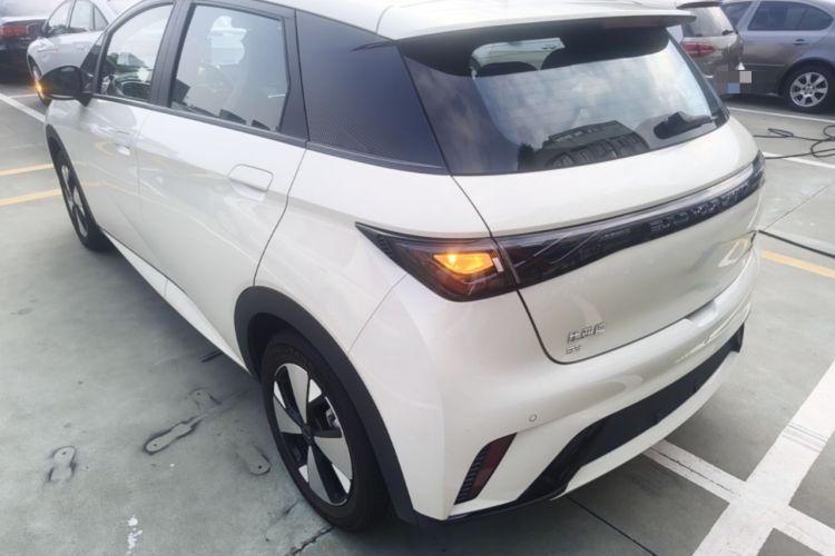 Used BYD Dolphin 2023 420 km Fashion Edition Rear Left 45 Deg