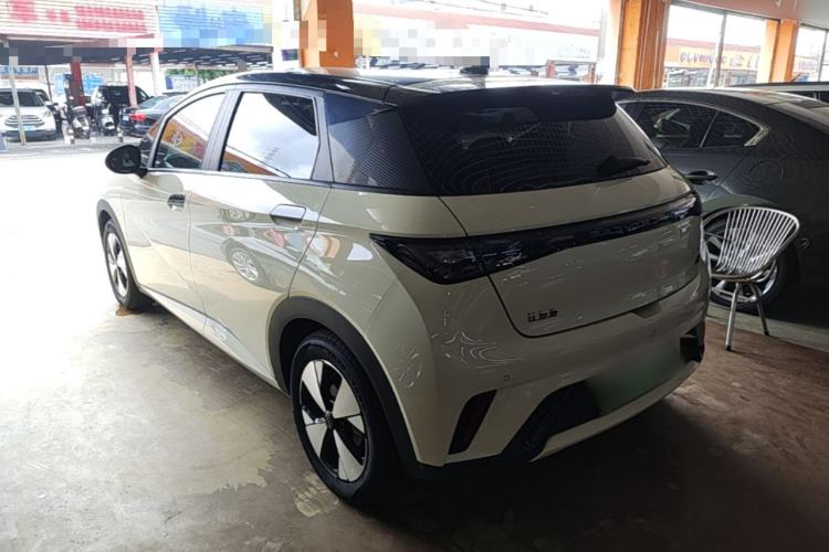 Used BYD Dolphin 2023 420 km Free Version Rear Left 45 Deg