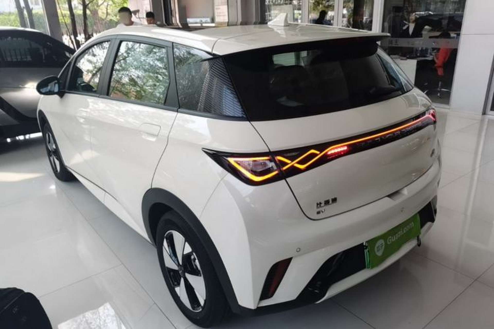 Used BYD Dolphin 2023 420 km Fashion Edition Rear Left 45 Deg