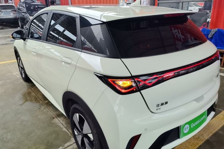 Used BYD Dolphin 2023 420 km Fashion Edition Rear Left 45 Deg